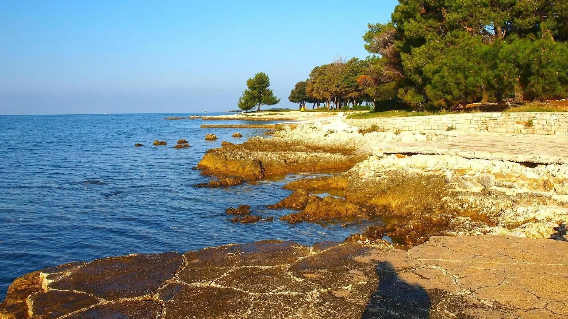Apartment Ferienwohnung Fuer 3 Personen Ca 48 Qm In Cervar-Porat, Istrien Istrische Riviera Porec